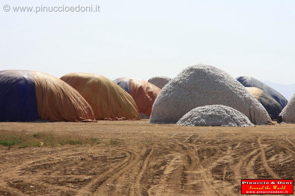 Ethiopia - 863 - Cotone.jpg